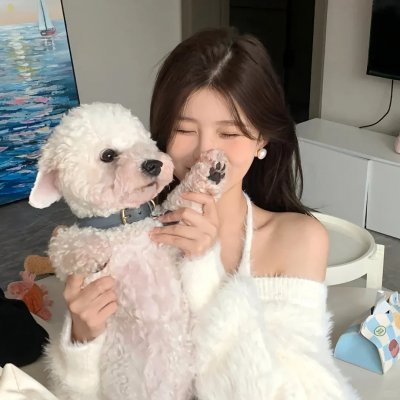 追求美国梦